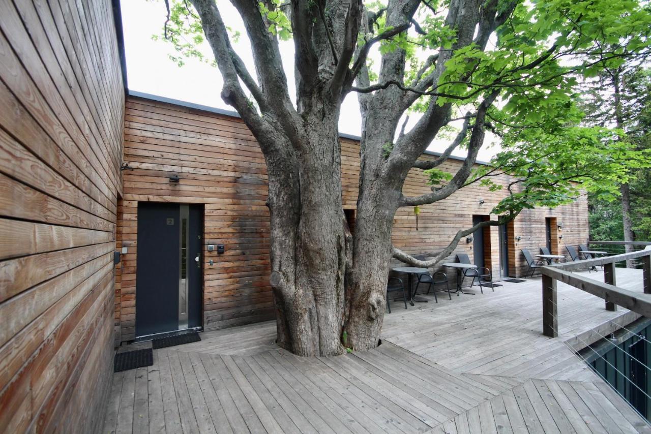 Hostel Flight Park Javorovy Trzyniec Zewnętrze zdjęcie
